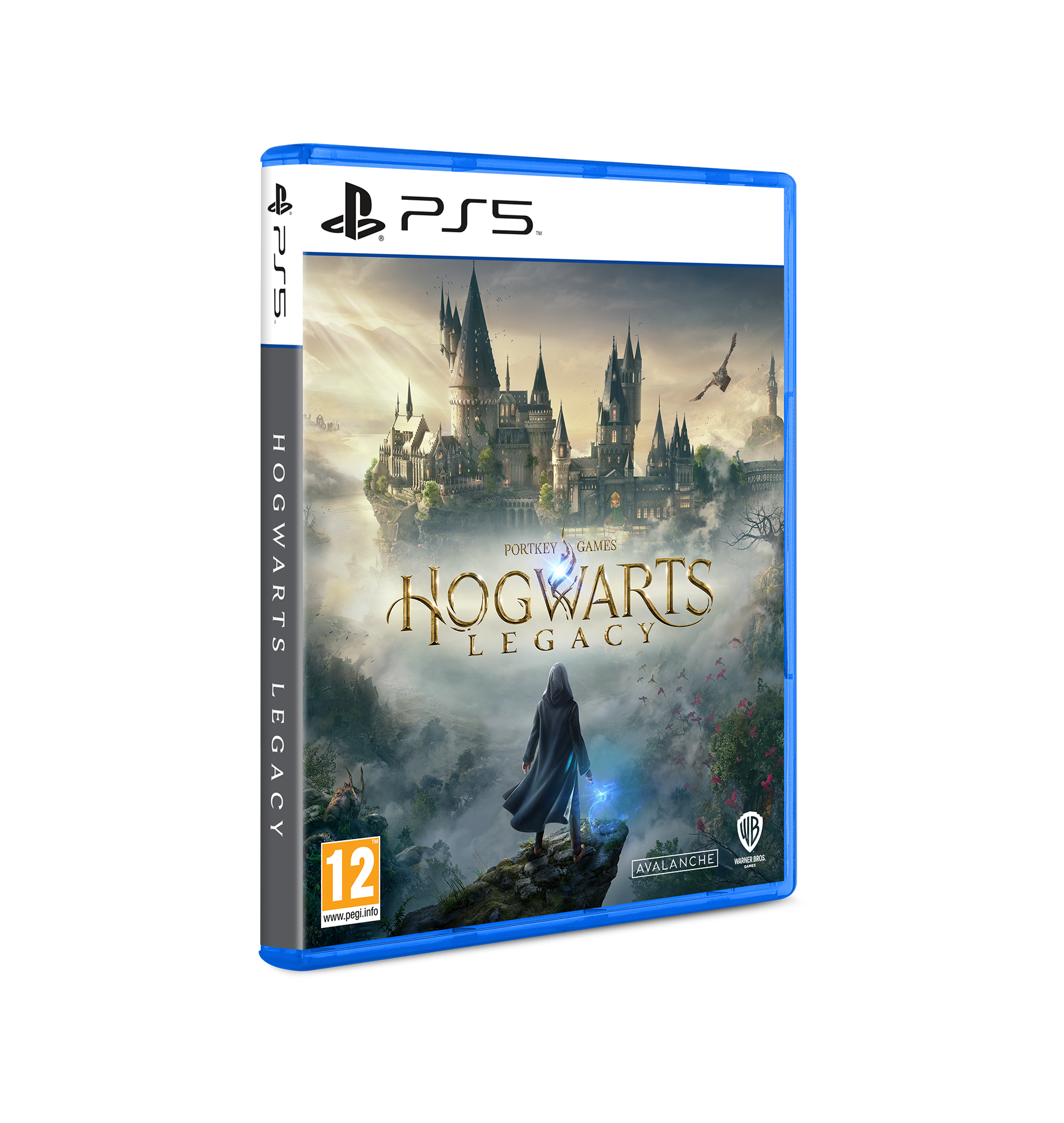 Hogwarts Legacy PS5 Game