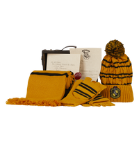Hufflepuff Mini Gift Trunk