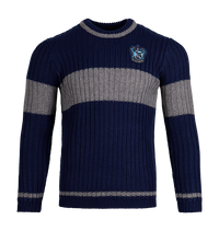 Ravenclaw Quidditch Jumper