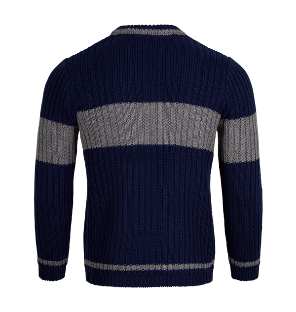 Ravenclaw Quidditch Jumper