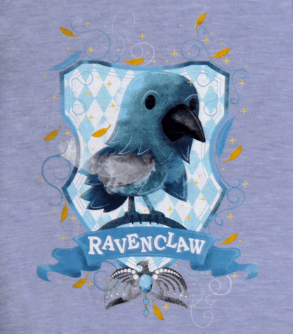 Ravenclaw Mascot Babygrow and Bib