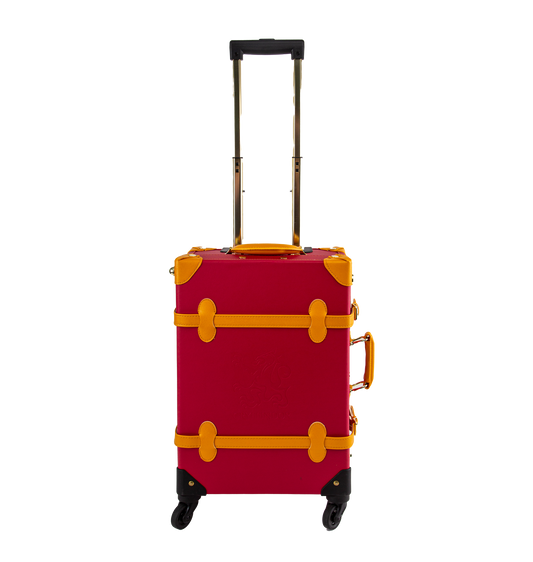 Gryffindor Travel Case