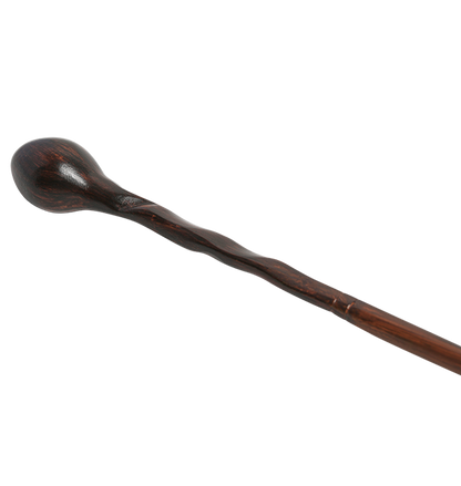 Professor Lupin's Wand