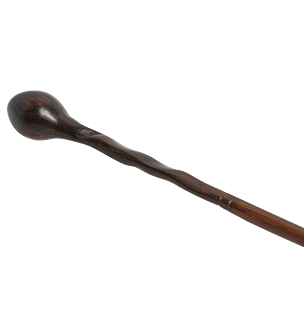 Professor Lupin's Wand